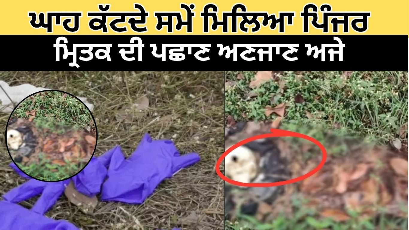 ਘਾਹ ਕੱਟਦੇ ਸਮੇਂ ਮਿਲਿਆ ਮਾਦਾ ਪਿੰਜਰ, ਮ੍ਰਿਤਕ ਦੀ ਪਛਾਣ ਅਣਜਾਣ ਅਜੇ