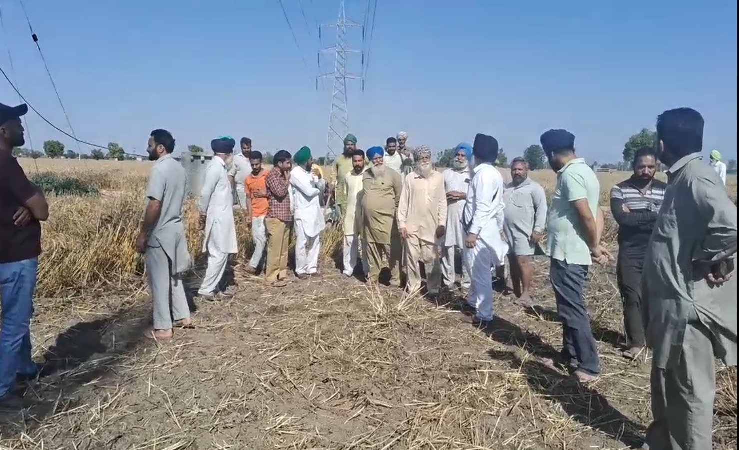 PSPCL ‘ਤੇ ਉੱਠੇ ਸਵਾਲ, ਬਿਜਲੀ ਤਾਰਾਂ ਕਾਰਨ 10 ਏਕੜ ਕਣਕ ਦੀ ਫਸਲ ਸੜੀ
