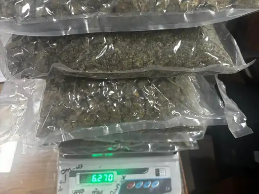 ਕਸਟਮ ਵਿਭਾਗ ਵੱਲੋਂ ਨਸ਼ਾ ਤਸਕਰੀ ਦੀ ਵੱਡੀ ਕੋਸ਼ਿਸ਼ ਨਾਕਾਮ, ਕਰੋੜਾਂ ਦੀ ਕੀਮਤ ‘ਚ ਗਾਂਜਾ ਬਰਾਮਦ