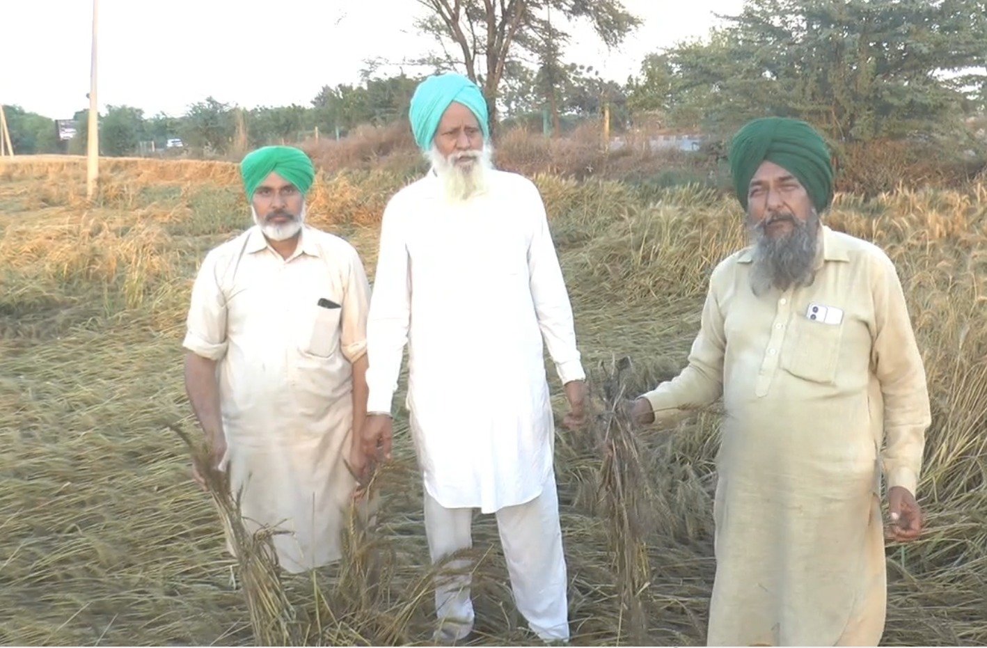 ਕਿਸਾਨਾਂ ‘ਤੇ ਕੁਦਰਤੀ ਆਫ਼ਤ ਬਣੀ ਮੁਸੀਬਤ, ਸਰਕਾਰ ਤੋਂ ਮੁਆਵਜ਼ੇ ਦੀ ਲਗਾਈ ਗੁਹਾਰ