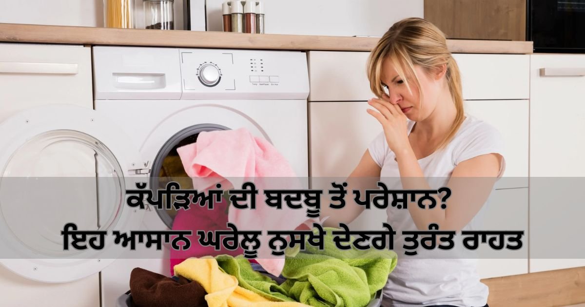 ਕੱਪੜਿਆਂ ਦੀ ਬਦਬੂ ਤੋਂ ਪਰੇਸ਼ਾਨ? ਇਹ ਆਸਾਨ ਘਰੇਲੂ ਨੁਸਖੇ ਦੇਣਗੇ ਤੁਰੰਤ ਰਾਹਤ