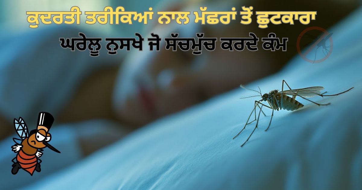ਕੁਦਰਤੀ ਤਰੀਕਿਆਂ ਨਾਲ ਮੱਛਰਾਂ ਤੋਂ ਛੁਟਕਾਰਾ: ਘਰੇਲੂ ਨੁਸਖੇ ਜੋ ਸੱਚਮੁੱਚ ਕਰਦੇ ਕੰਮ