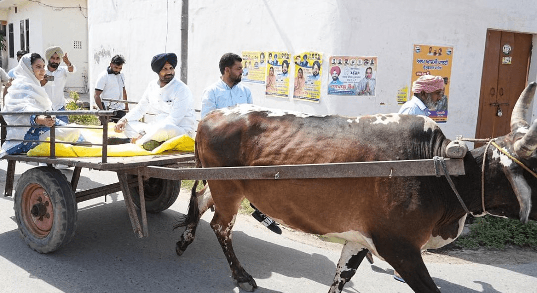 ਪੰਜਾਬ ਨਿਗਮ ਚੋਣਾਂ ਲਈ ਵੋਟਿੰਗ ਜਾਰੀ: Heatwave ਦੇ ਬਾਵਜੂਦ ਲੋਕਾਂ ਵਿੱਚ ਭਾਰੀ ਉਤਸ਼ਾਹ, ਪਤਨੀ ਸਮੇਤ 'ਗੱਡੇ' 'ਤੇ ਵੋਟ ਪਾਉਣ ਪਹੁੰਚੇ ਰਾਜਾ ਵੜਿੰਗ