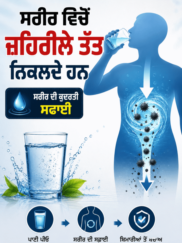ਸਰੀਰ ਵਿਚੋਂ ਜ਼ਹਿਰੀਲੇ ਤੱਤ ਨਿਕਲਦੇ ਹਨ....