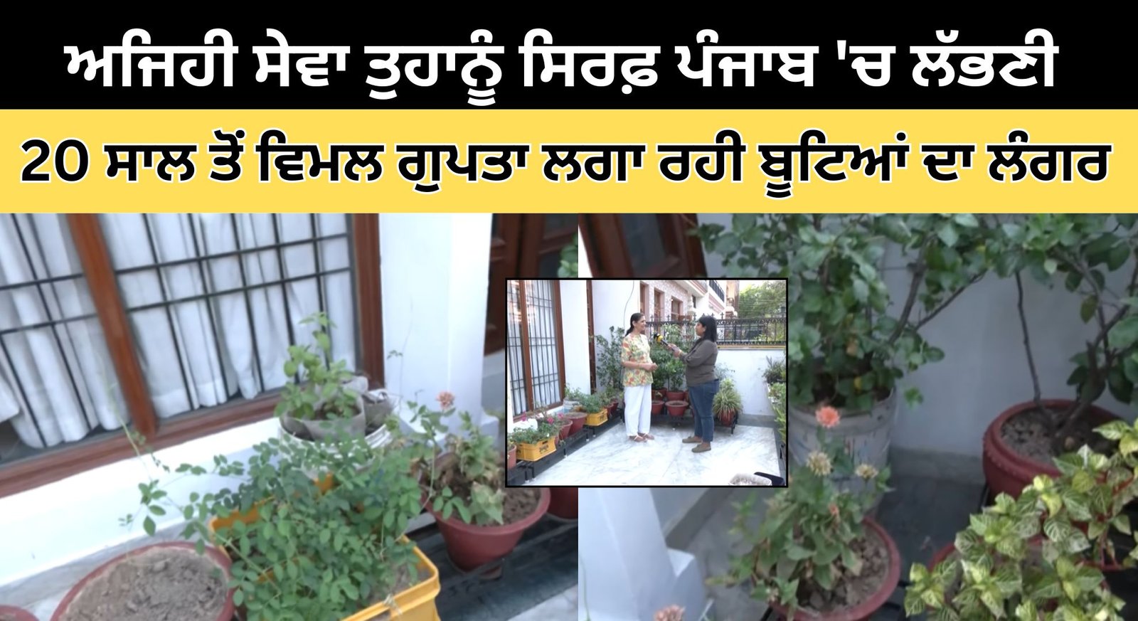 Watch Now: 20 ਸਾਲ ਤੋਂ ਵਿਮਲ ਗੁਪਤਾ ਲਗਾ ਰਹੀ ਬੂਟਿਆਂ ਦਾ ਲੰਗਰ