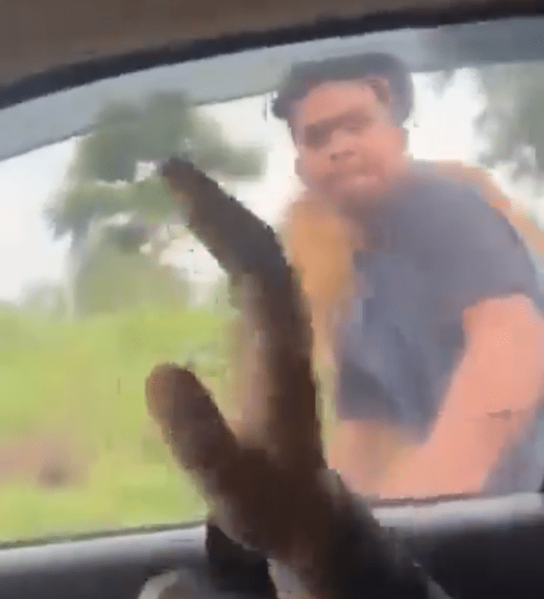 An illustrative photo showing a black Scorpio car speeding or involved in a highway road rage situation.