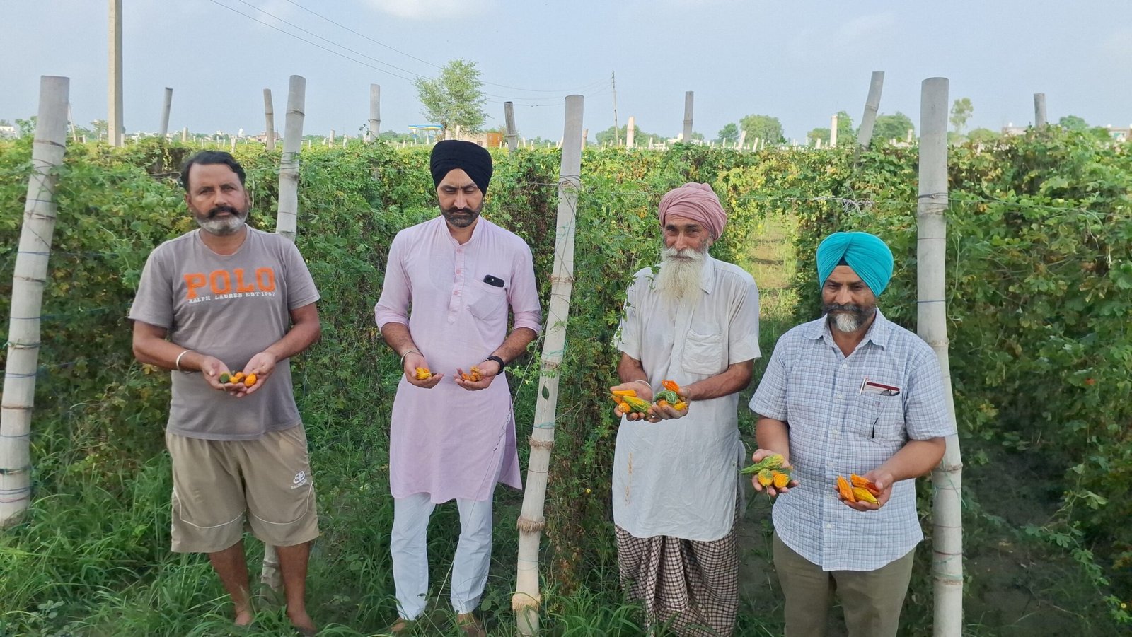 ਭਾਰੀ ਮੀਂਹ ਨਾਲ ਕਿਸਾਨਾਂ ਦੀਆਂ ਮੁਸ਼ਕਲਾਂ ਵਧੀਆਂ, ਕਰੇਲੇ ਦੀ ਫਸਲ ਨੂੰ ਵੱਡਾ ਨੁਕਸਾਨ