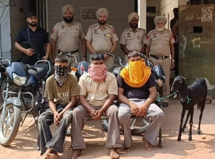 ਪੁਲਿਸ ਵੱਲੋਂ ਬੱਕਰੀਆਂ ਚੋਰੀ ਕਰਨ ਵਾਲਾ ਗਿਰੋਹ ਕਾਬੂ, 3 ਗ੍ਰਿਫ਼ਤਾਰ
