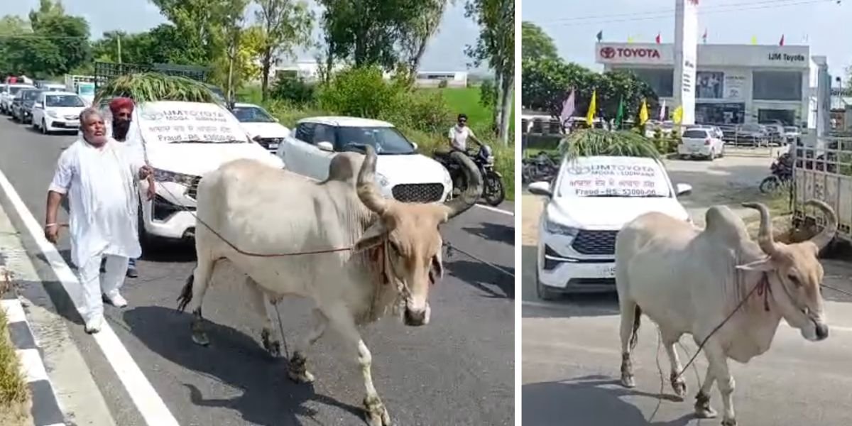 31 ਲੱਖ ਦੀ ਇਨੋਵਾ ਬਣੀ ‘ਚਾਰੇ ਵਾਲੀ ਗੱਡੀ’, ਪਰੇਸ਼ਾਨ ਮਾਲਕ ਨੇ ਕੀਤਾ ਅਨੋਖਾ ਪ੍ਰਦਰਸ਼ਨ, ਵਾਇਰਲ ਹੋਇਆ ਗਾਹਕ ਦਾ ਵੀਡੀਓ
