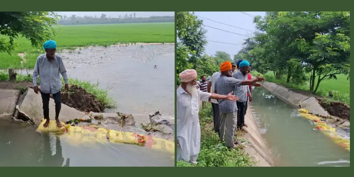 ਰਜਵਾਹਾ ਟੁੱਟਣ ਨਾਲ ਖੇਤ ਬਣੇ ਤਲਾਬ, 100 ਏਕੜ ਝੋਨਾ ਤਬਾਹ, ਕਿਸਾਨਾਂ ਨੇ ਵਿਭਾਗ ‘ਤੇ ਚੁੱਕੇ ਸਵਾਲ