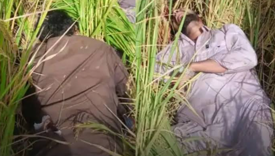 ਘੁਸਪੈਠ ਦੀ ਕੋਸ਼ਿਸ਼ ਨਾਕਾਮ, BSF ਨੇ ਦੋ ਪਾਕਿਸਤਾਨੀ ਨਾਗਰਿਕਾਂ ਨੂੰ ਕੀਤਾ ਢੇਰ